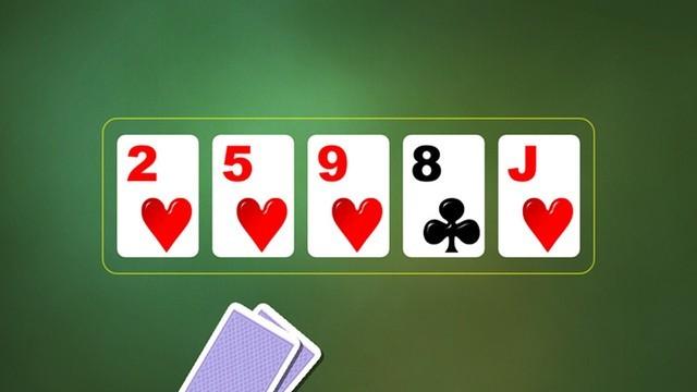 casinyeam 8